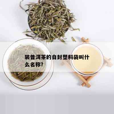 装普洱茶的自封塑料袋叫什么名称？