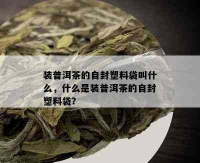 装普洱茶的自封塑料袋叫什么，什么是装普洱茶的自封塑料袋？