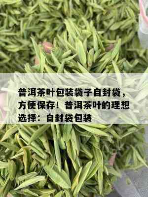 普洱茶叶包装袋子自封袋，方便保存！普洱茶叶的理想选择：自封袋包装