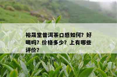 裕晟堂普洱茶口感如何？好喝吗？价格多少？上有哪些评价？