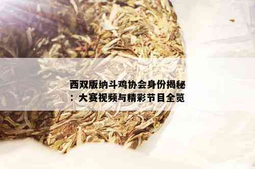 西双版纳斗鸡协会身份揭秘：大赛视频与精彩节目全览