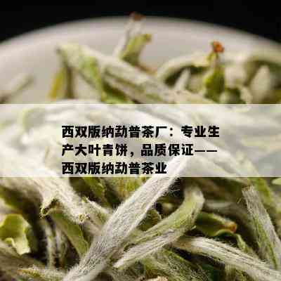 西双版纳勐普茶厂：专业生产大叶青饼，品质保证——西双版纳勐普茶业