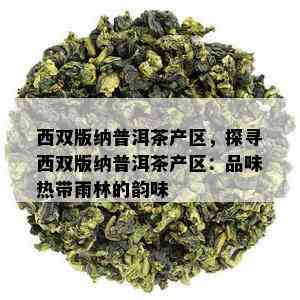 西双版纳普洱茶产区，探寻西双版纳普洱茶产区：品味热带雨林的韵味