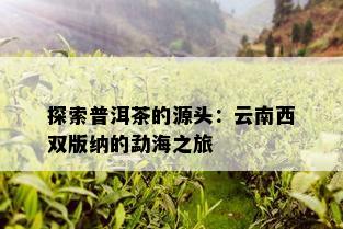 探索普洱茶的源头：云南西双版纳的勐海之旅