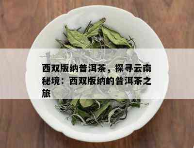 西双版纳普洱茶，探寻云南秘境：西双版纳的普洱茶之旅