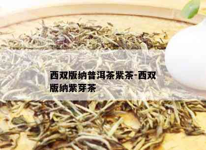 西双版纳普洱茶紫茶-西双版纳紫芽茶