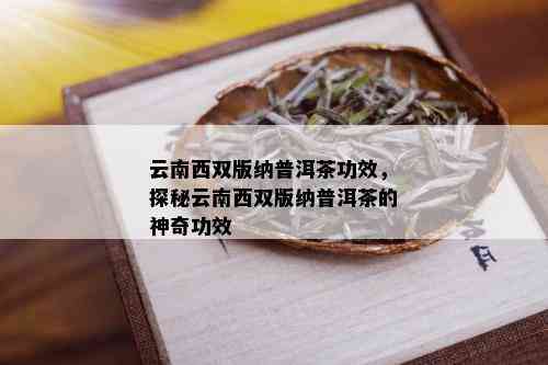 云南西双版纳普洱茶功效，探秘云南西双版纳普洱茶的神奇功效