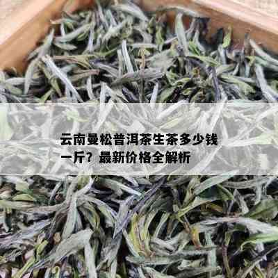 云南曼松普洱茶生茶多少钱一斤？最新价格全解析