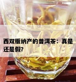 西双版纳产的普洱茶：真是还是假？