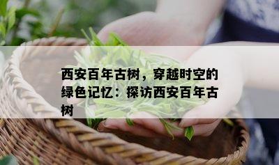 西安百年古树，穿越时空的绿色记忆：探访西安百年古树