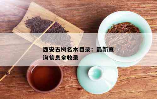 西安古树名木目录：最新查询信息全收录