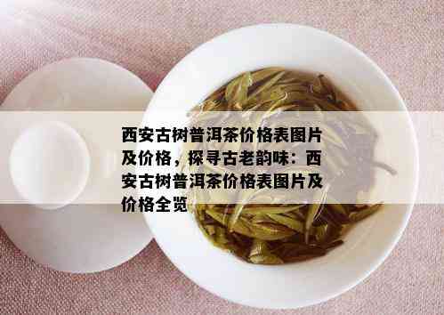 西安古树普洱茶价格表图片及价格，探寻古老韵味：西安古树普洱茶价格表图片及价格全览