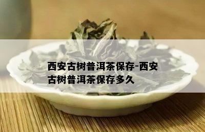 西安古树普洱茶保存-西安古树普洱茶保存多久