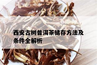 西安古树普洱茶储存方法及条件全解析