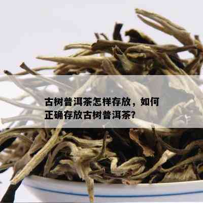 古树普洱茶怎样存放，如何正确存放古树普洱茶？