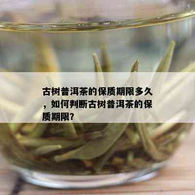 古树普洱茶的保质期限多久，如何判断古树普洱茶的保质期限？