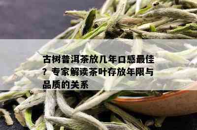 古树普洱茶放几年口感更佳？专家解读茶叶存放年限与品质的关系