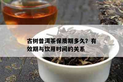 古树普洱茶保质期多久？有效期与饮用时间的关系