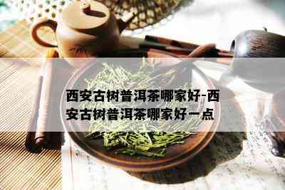 西安古树普洱茶哪家好-西安古树普洱茶哪家好一点