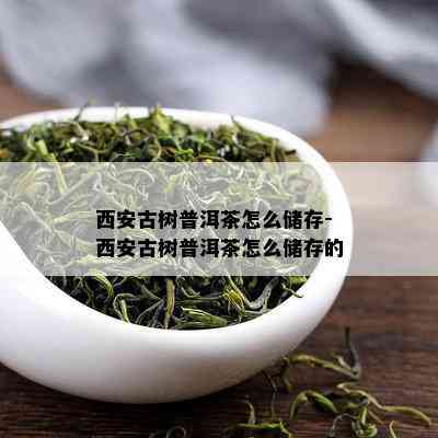 西安古树普洱茶怎么储存-西安古树普洱茶怎么储存的