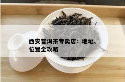 西安普洱茶专卖店：地址、位置全攻略