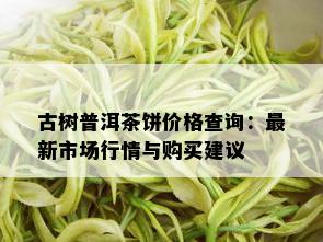 古树普洱茶饼价格查询：最新市场行情与购买建议