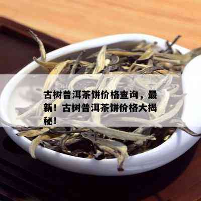 古树普洱茶饼价格查询，最新！古树普洱茶饼价格大揭秘！