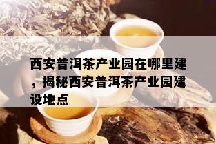 西安普洱茶产业园在哪里建，揭秘西安普洱茶产业园建设地点