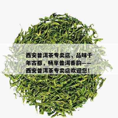 西安普洱茶专卖店，品味千年古都，畅享普洱香韵——西安普洱茶专卖店欢迎您！