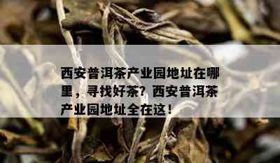 西安普洱茶产业园地址在哪里，寻找好茶？西安普洱茶产业园地址全在这！