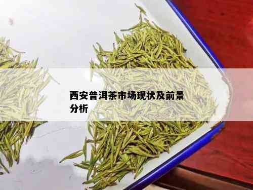 西安普洱茶市场现状及前景分析