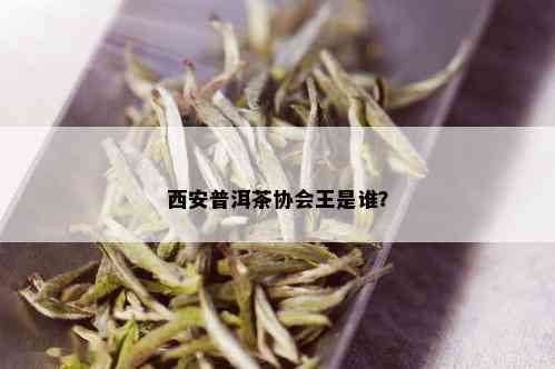 西安普洱茶协会王是谁？