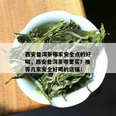 西安普洱茶哪家安全点的好喝，西安普洱茶哪里买？推荐几家安全好喝的店铺！