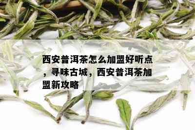 西安普洱茶怎么加盟好听点，寻味古城，西安普洱茶加盟新攻略