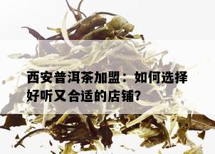 西安普洱茶加盟：如何选择好听又合适的店铺？