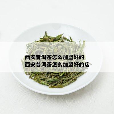 西安普洱茶怎么加盟好的-西安普洱茶怎么加盟好的店