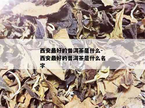 西安更好的普洱茶是什么-西安更好的普洱茶是什么名字