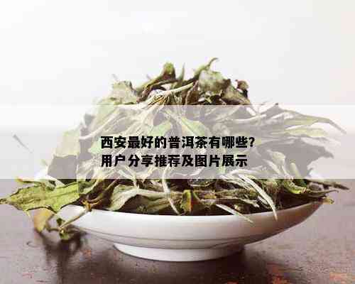 西安更好的普洱茶有哪些？用户分享推荐及图片展示