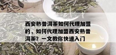 西安熟普洱茶如何代理加盟的，如何代理加盟西安熟普洱茶？一文教你快速入门