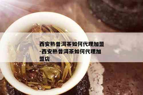 西安熟普洱茶如何代理加盟-西安熟普洱茶如何代理加盟店