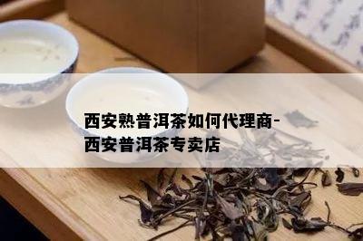 西安熟普洱茶如何代理商-西安普洱茶专卖店