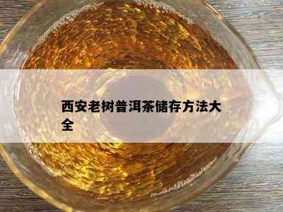 西安老树普洱茶储存方法大全