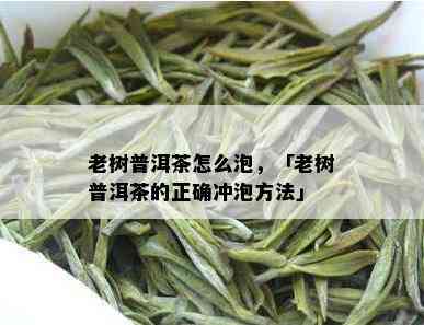 老树普洱茶怎么泡，「老树普洱茶的正确冲泡方法」