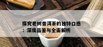 探究老树普洱茶的独特口感：深度品鉴与全面解析