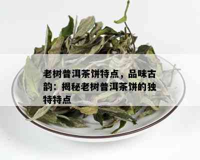 老树普洱茶饼特点，品味古韵：揭秘老树普洱茶饼的独特特点