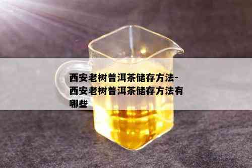 西安老树普洱茶储存方法-西安老树普洱茶储存方法有哪些