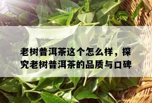 老树普洱茶这个怎么样，探究老树普洱茶的品质与口碑