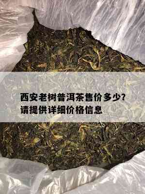 西安老树普洱茶售价多少？请提供详细价格信息