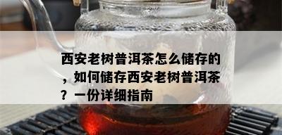 西安老树普洱茶怎么储存的，如何储存西安老树普洱茶？一份详细指南