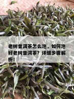 老树普洱茶怎么泡，如何泡好老树普洱茶？详细步骤解析！